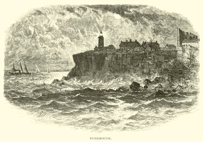 Tynemouth av American School