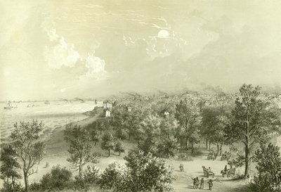 View of Lake View House, från Chicago Illustrated, med litterära beskrivningar av James W. Sheahan, publicerad av Jevne & Almini, Chicago, 1866-67 av American School