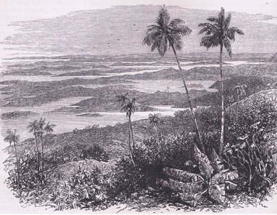 View of the Bermudas, illustration från Cassell