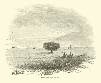 View on the Teche, april 1863 av American School