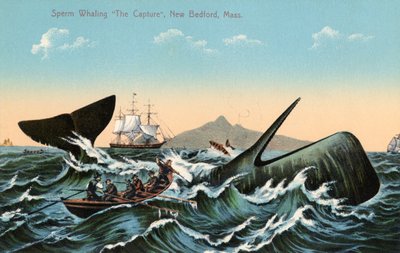 Valfångare som harpunerar en kaskelot utanför New Bedford, Massachusetts av American School