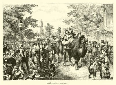 Zoologisk trädgård av American School
