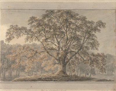 Utsikter i England, Skottland och Wales: Ash i Londesbro Park, maj 1800 av Amos Green