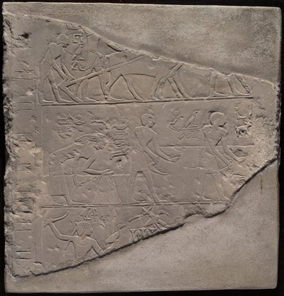 Fragment av en stela föreställande plöjning, skörd och fågelbärgning av Ancient Egyptian