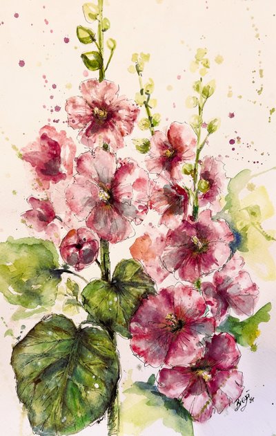 Ljusa rosa stockrosor av Anda Bieza