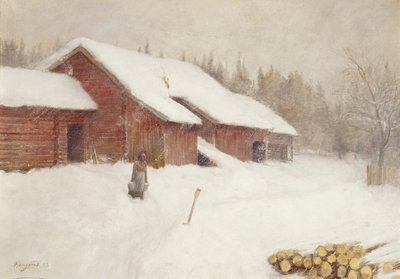 Snödrift av Anders Kongsrud