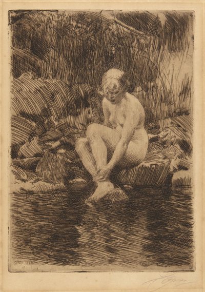  av Anders Leonard Zorn