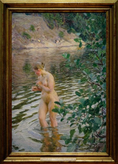 Den kalla strömmen av Anders Leonard Zorn