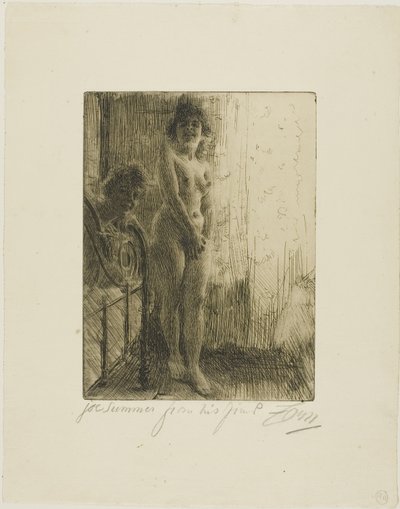 Ett mörkt hörn av Anders Leonard Zorn