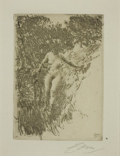 Småskog av Anders Leonard Zorn