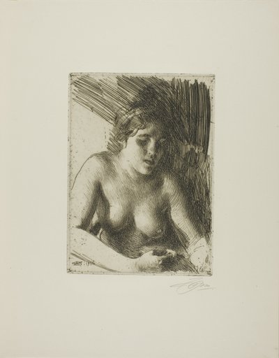 Sätta dit av Anders Leonard Zorn