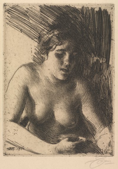 Sätta dit av Anders Leonard Zorn