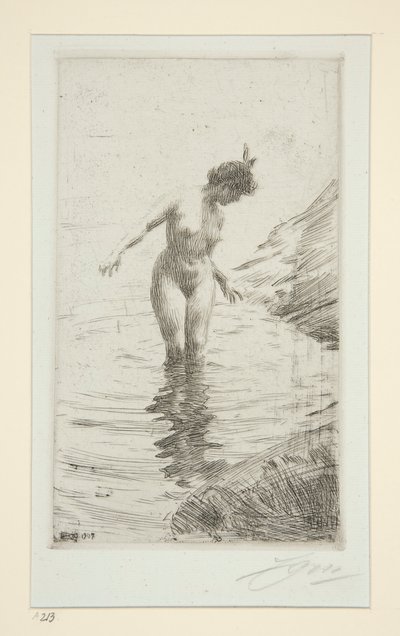 cirklar d av Anders Leonard Zorn