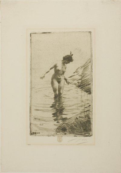 Cirklar av vatten II av Anders Zorn