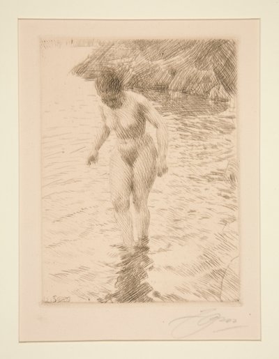 dollar av Anders Leonard Zorn