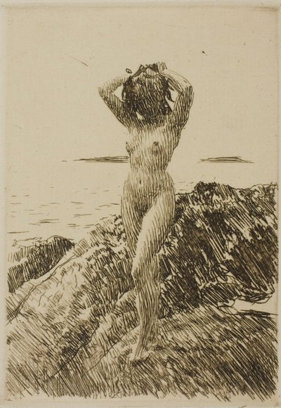 Hårtång (tångkrans) av Anders Zorn