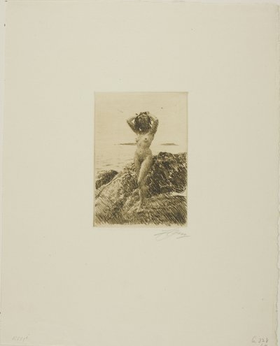 Hårtång (Sjövedskrans) av Anders Leonard Zorn