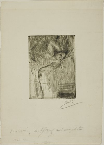 Alarmet av Anders Leonard Zorn