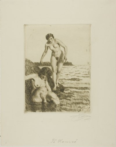 On Hemsö Island av Anders Leonard Zorn