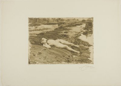 オン ザ サンズ スウェーデン語 av Anders Leonard Zorn