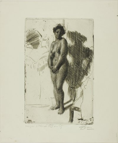 Stående Svart av Anders Leonard Zorn