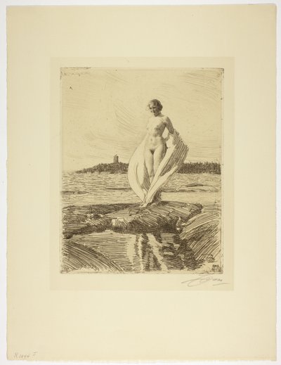 Svanen av Anders Leonard Zorn
