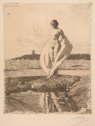Svanen av Anders Leonard Zorn