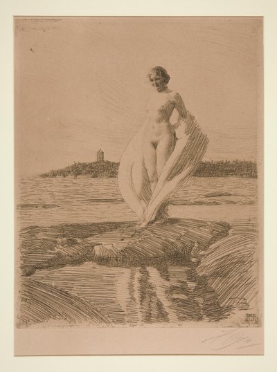 Svanen av Anders Leonard Zorn