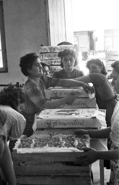 BITTRA DRUVOR - FÖRPACKNING MED VARUMÄRKE av Ando Gilardi