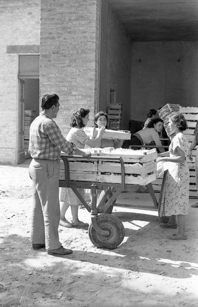 BITTRA DRUVOR - LAGERFÖRVARING av Ando Gilardi