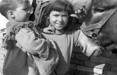 CROTONE - LIVET I ARBETARBYARNA, av Ando Gilardi