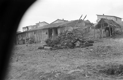 CROTONE - BYN PÅ NÄRA HÅLL, av Ando Gilardi