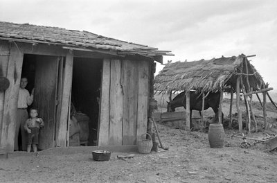 CROTONE KAMPANJ av Ando Gilardi