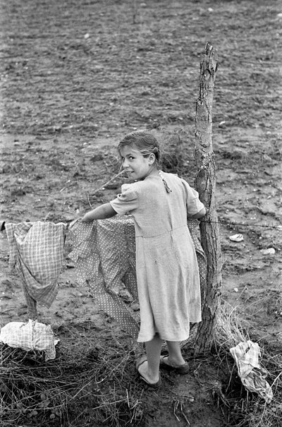 CROTONE COUNTRYSIDE - HÄNGANDE DUKAR av Ando Gilardi