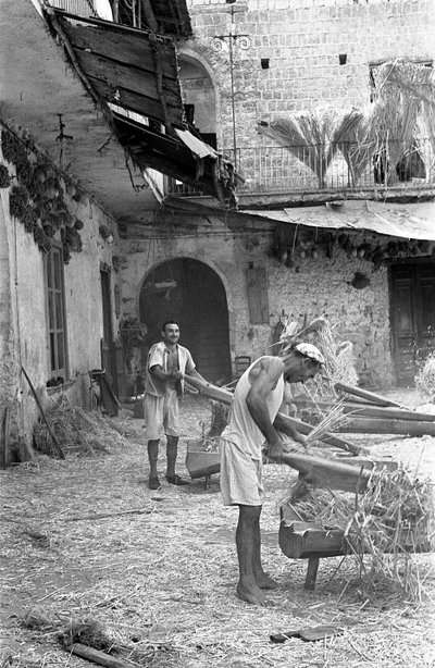 BEARBETNING AV HAMPA, BATCHING av Ando Gilardi