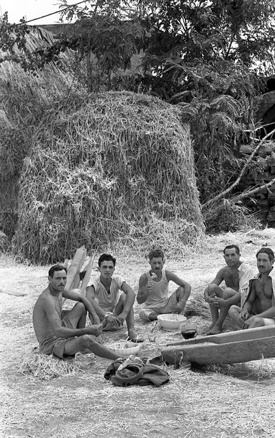 BEARBETNING AV HAMPA, KORT FÖRFRISKNING av Ando Gilardi