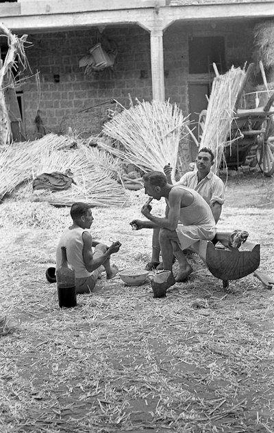 BEARBETNING AV HAMPA, FRUKOST PÅ JOBBET av Ando Gilardi