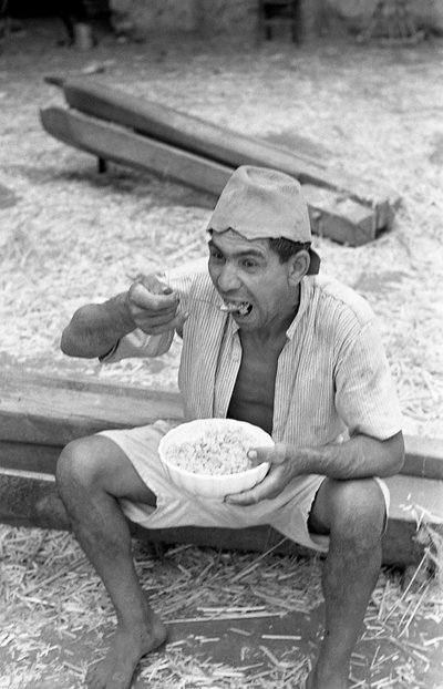 BEARBETNING AV HAMPA, MAKARONIBRYTNING av Ando Gilardi