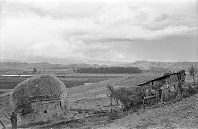 SKJUL MED LADUGÅRD av Ando Gilardi
