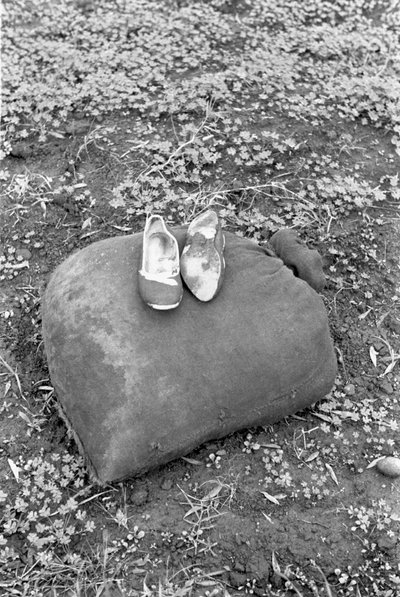 SKOR AV EN RACCOGLITRICE AV OLIVER av Ando Gilardi