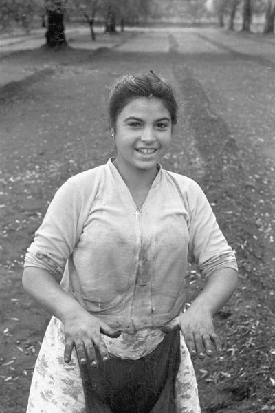 UNG OLIVPLOCKARE av Ando Gilardi