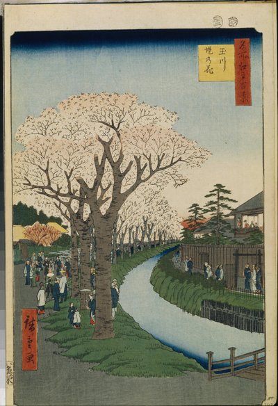 Cent vues celebres d"Edo: Cherry Blossoms on the Banks of the Tama River av Ando or Utagawa Hiroshige