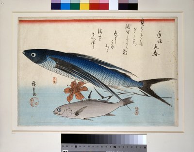 Flygande fisk, ishimochi-fisk och lilja av Ando or Utagawa Hiroshige