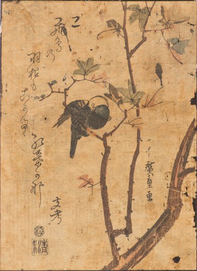 Studie av fågel som sover på gren av Ando or Utagawa Hiroshige