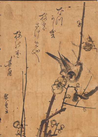 Studie av fågel uppflugen på gren av Ando or Utagawa Hiroshige