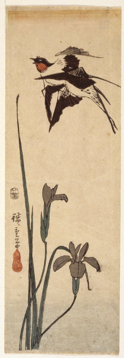 Svalor och Iris (trätryck i färg) av Ando or Utagawa Hiroshige