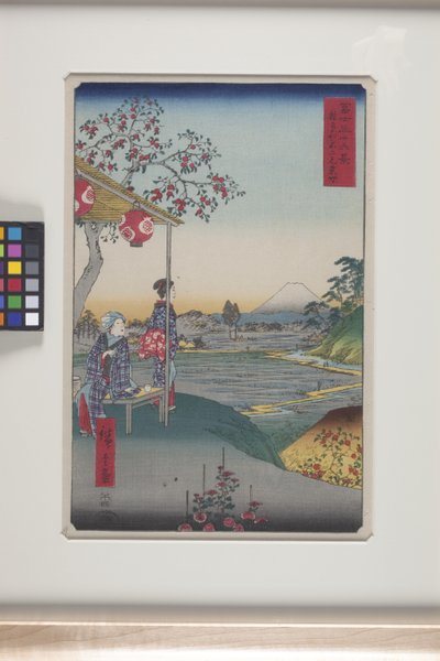 Tehus med utsikt över berget Fuji i Z?shigaya (Z?shigaya Fujimi Chaya) (trätryck i färg) av Ando or Utagawa Hiroshige