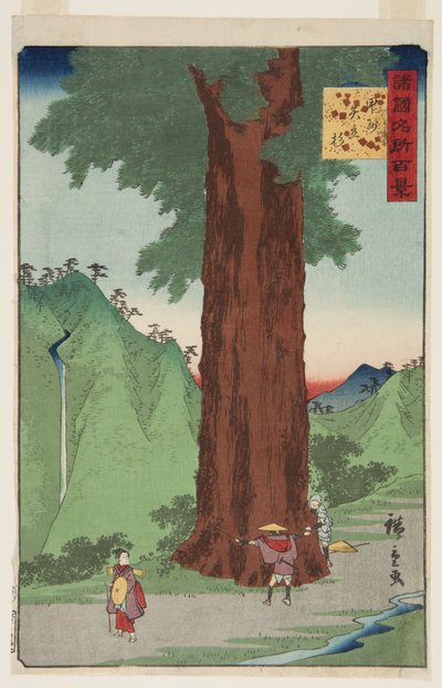 Yatate Cedar Tree i Kai-provinsen (K?sh? Yatate sugi) (träblock i färg) av Ando or Utagawa Hiroshige