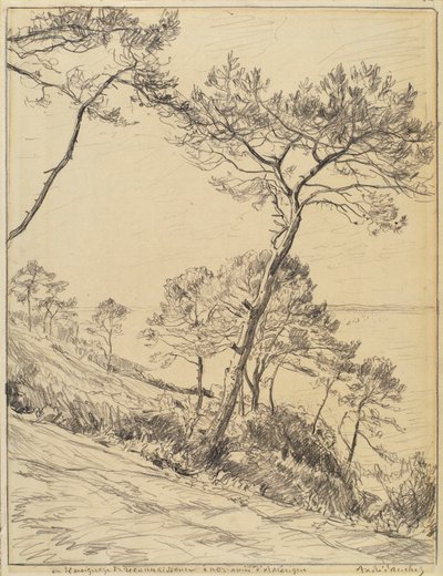 Landskap av André Dauchez