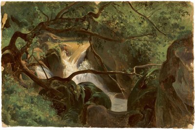 Skogsinteriör med vattenfall, Papigno, 18251830. av André Giroux